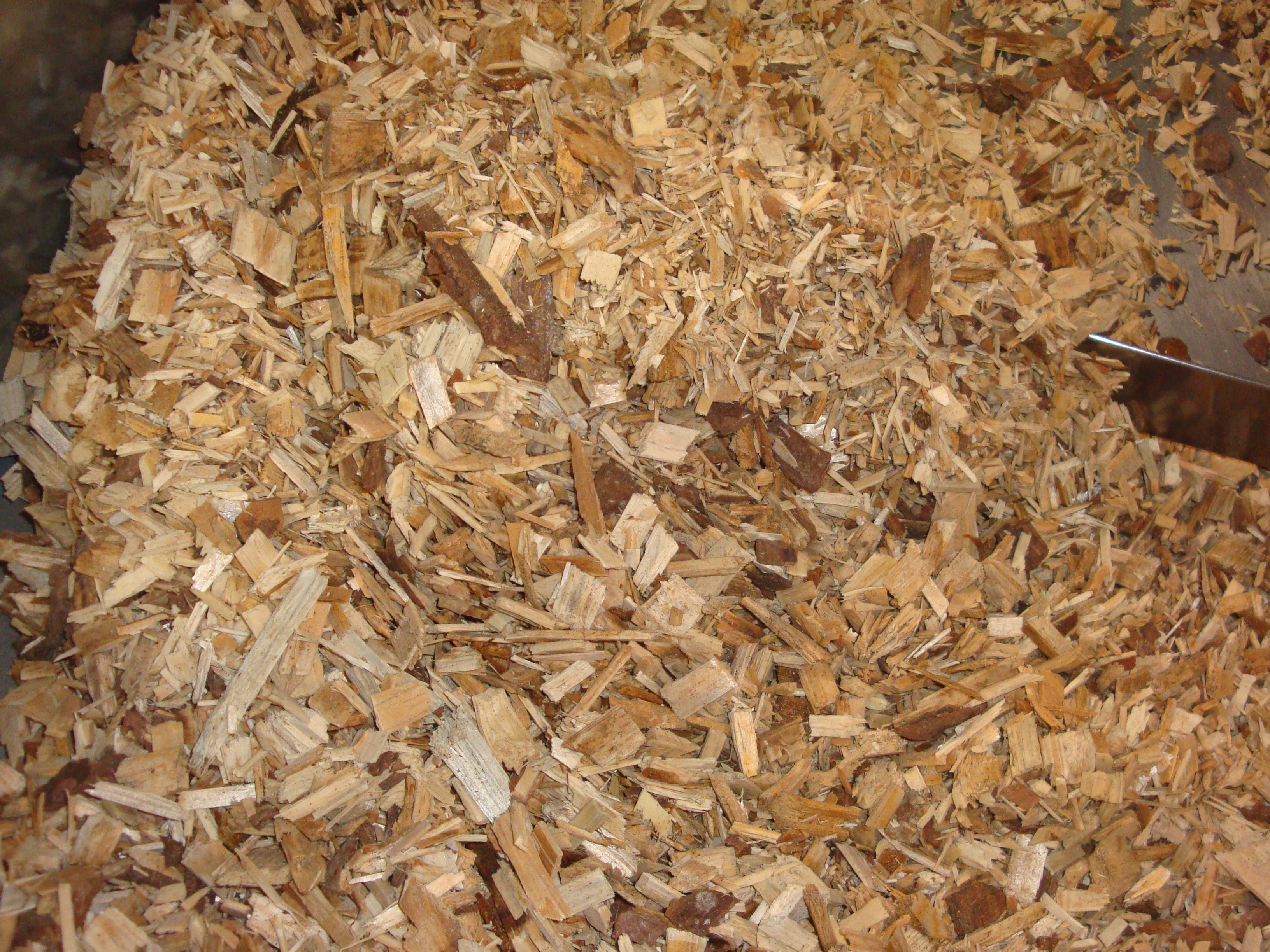 Typische Waldhackgut-Praxisprobe, die aus Rückständen der Waldbewirtschaftung und im Wesentlichen aus Weichholz erzeugt wurden.
