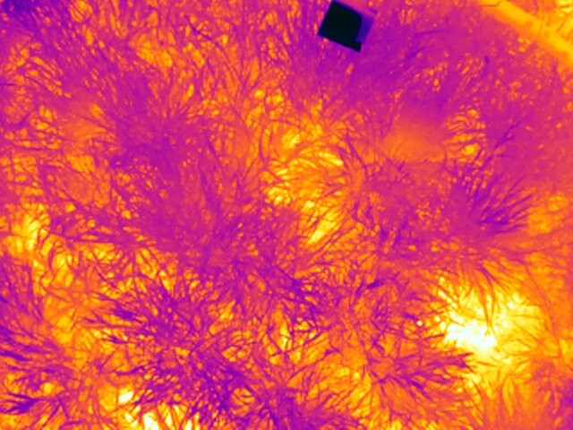 Dieses Bild zeigt die Temperatur einer Wiese unter dem Einfluss von anhaltender Dürre. Dürre führt zu einer starker Erhitzung der Wiese.